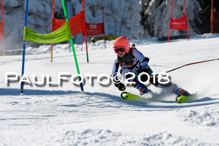 Ziener Cup WF, Finale, Quali + Parallelslalom, 24.03.2018