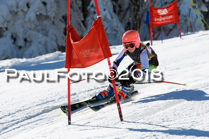 Ziener Cup WF, Finale, Quali + Parallelslalom, 24.03.2018