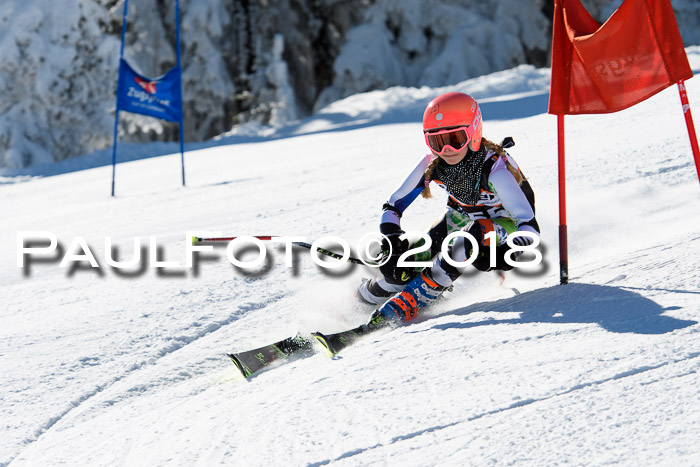 Ziener Cup WF, Finale, Quali + Parallelslalom, 24.03.2018