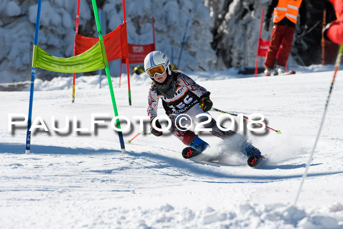 Ziener Cup WF, Finale, Quali + Parallelslalom, 24.03.2018