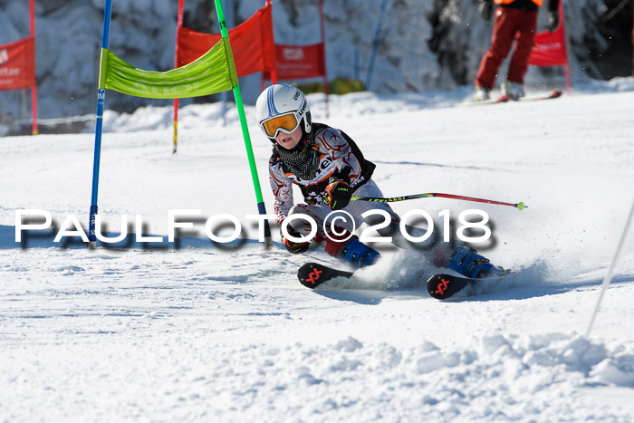 Ziener Cup WF, Finale, Quali + Parallelslalom, 24.03.2018