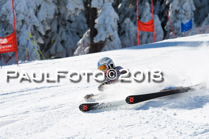 Ziener Cup WF, Finale, Quali + Parallelslalom, 24.03.2018