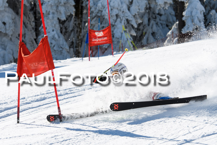 Ziener Cup WF, Finale, Quali + Parallelslalom, 24.03.2018