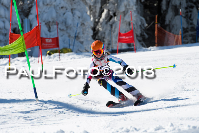 Ziener Cup WF, Finale, Quali + Parallelslalom, 24.03.2018