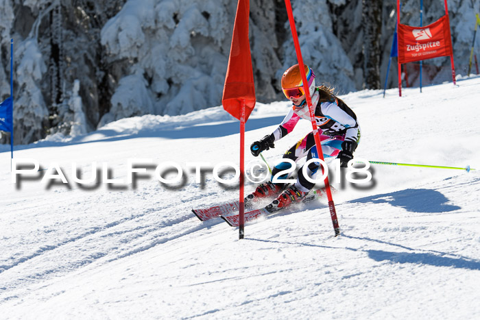 Ziener Cup WF, Finale, Quali + Parallelslalom, 24.03.2018
