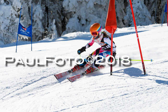 Ziener Cup WF, Finale, Quali + Parallelslalom, 24.03.2018