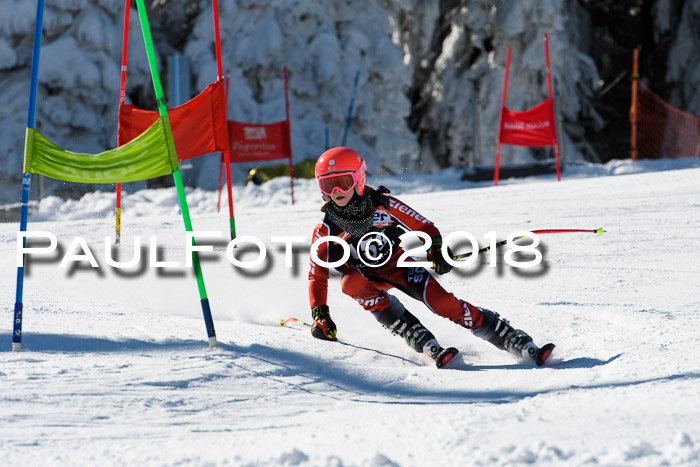 Ziener Cup WF, Finale, Quali + Parallelslalom, 24.03.2018