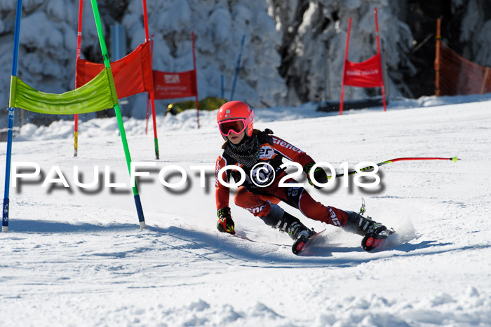 Ziener Cup WF, Finale, Quali + Parallelslalom, 24.03.2018