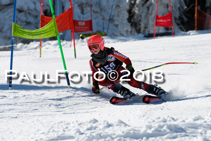 Ziener Cup WF, Finale, Quali + Parallelslalom, 24.03.2018
