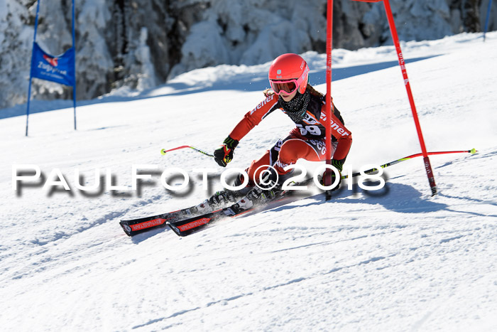 Ziener Cup WF, Finale, Quali + Parallelslalom, 24.03.2018