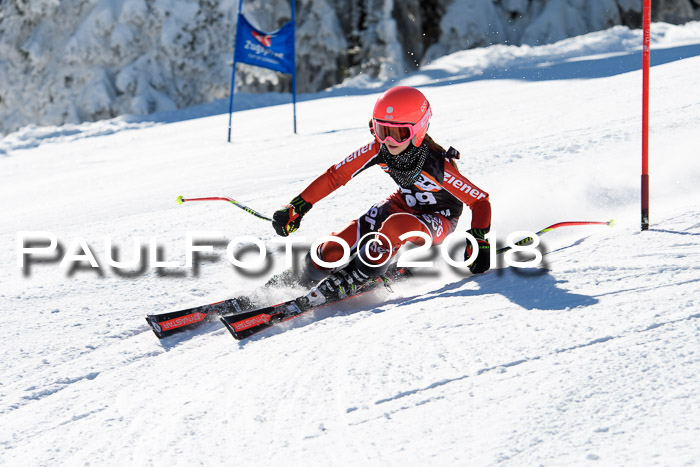 Ziener Cup WF, Finale, Quali + Parallelslalom, 24.03.2018