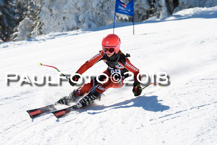 Ziener Cup WF, Finale, Quali + Parallelslalom, 24.03.2018