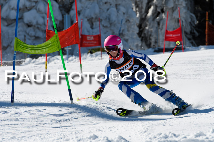 Ziener Cup WF, Finale, Quali + Parallelslalom, 24.03.2018