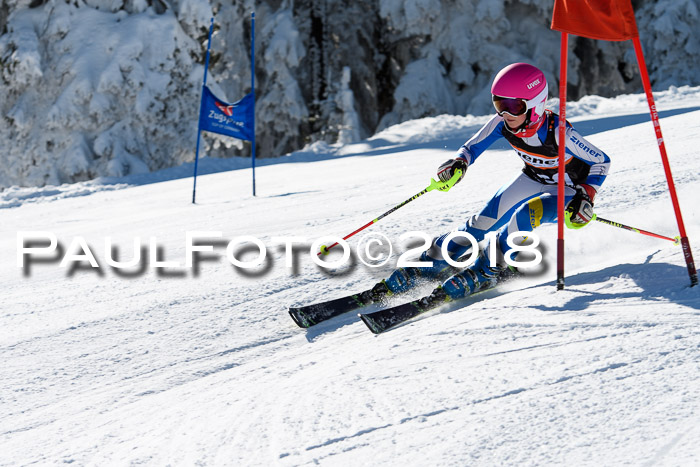 Ziener Cup WF, Finale, Quali + Parallelslalom, 24.03.2018