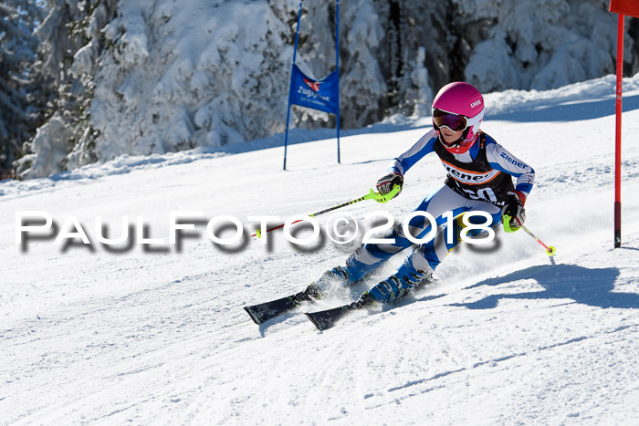Ziener Cup WF, Finale, Quali + Parallelslalom, 24.03.2018