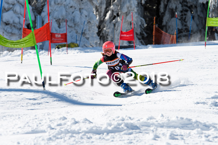 Ziener Cup WF, Finale, Quali + Parallelslalom, 24.03.2018