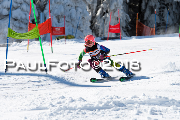 Ziener Cup WF, Finale, Quali + Parallelslalom, 24.03.2018