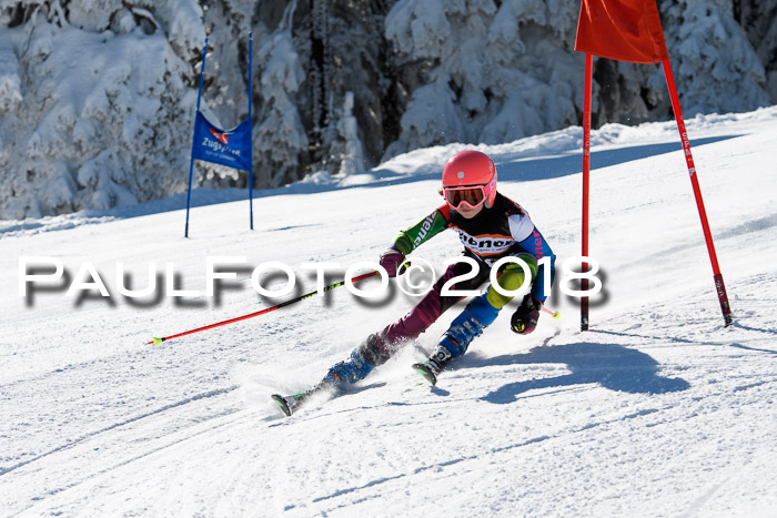 Ziener Cup WF, Finale, Quali + Parallelslalom, 24.03.2018