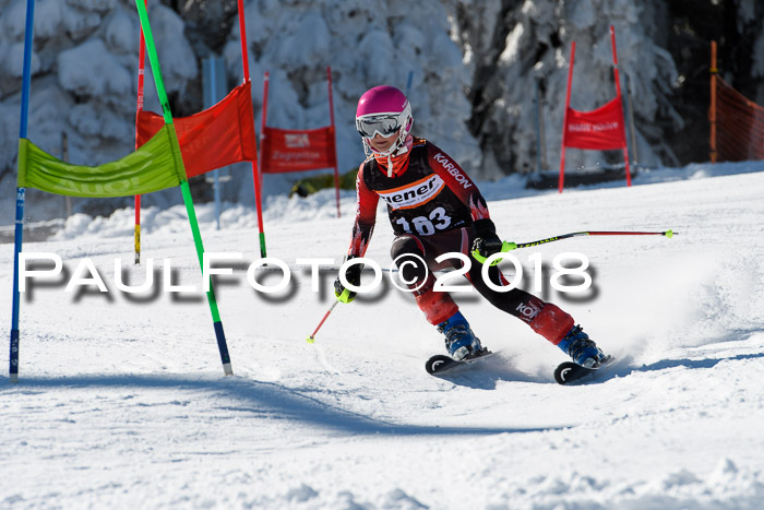 Ziener Cup WF, Finale, Quali + Parallelslalom, 24.03.2018