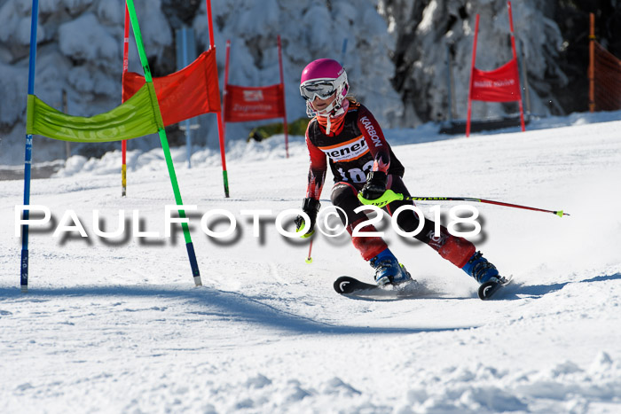 Ziener Cup WF, Finale, Quali + Parallelslalom, 24.03.2018