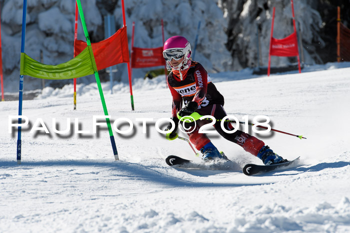 Ziener Cup WF, Finale, Quali + Parallelslalom, 24.03.2018