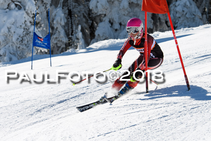 Ziener Cup WF, Finale, Quali + Parallelslalom, 24.03.2018