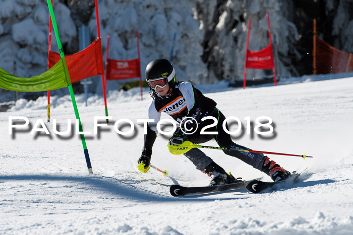 Ziener Cup WF, Finale, Quali + Parallelslalom, 24.03.2018