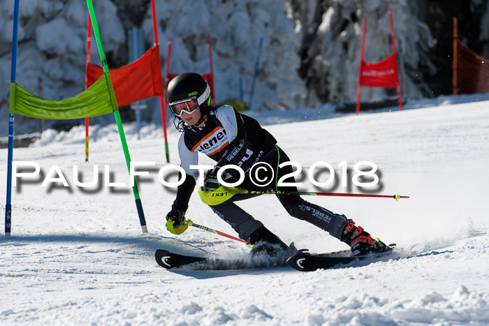 Ziener Cup WF, Finale, Quali + Parallelslalom, 24.03.2018