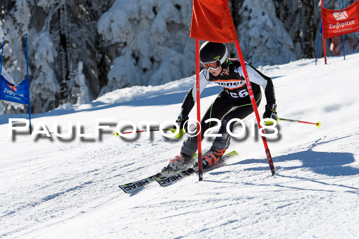Ziener Cup WF, Finale, Quali + Parallelslalom, 24.03.2018