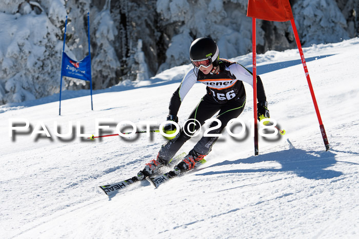 Ziener Cup WF, Finale, Quali + Parallelslalom, 24.03.2018