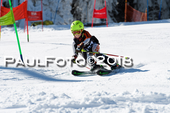 Ziener Cup WF, Finale, Quali + Parallelslalom, 24.03.2018