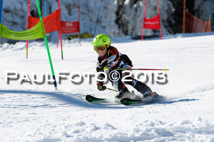Ziener Cup WF, Finale, Quali + Parallelslalom, 24.03.2018
