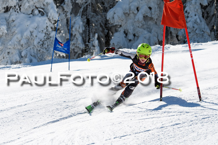 Ziener Cup WF, Finale, Quali + Parallelslalom, 24.03.2018