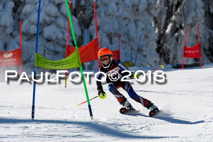 Ziener Cup WF, Finale, Quali + Parallelslalom, 24.03.2018