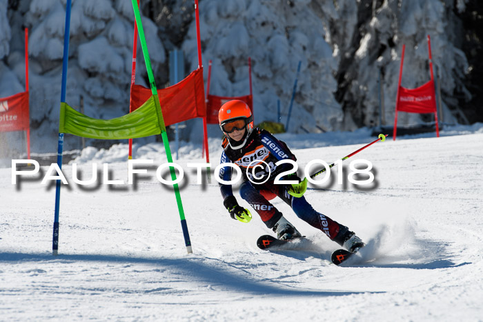 Ziener Cup WF, Finale, Quali + Parallelslalom, 24.03.2018