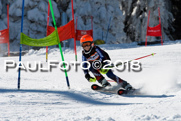 Ziener Cup WF, Finale, Quali + Parallelslalom, 24.03.2018