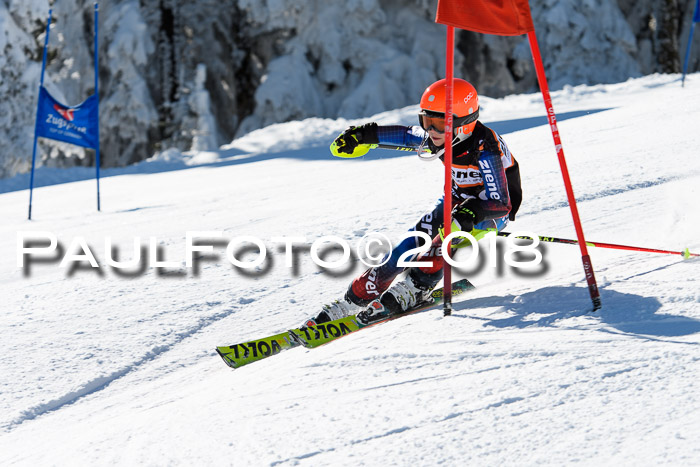 Ziener Cup WF, Finale, Quali + Parallelslalom, 24.03.2018