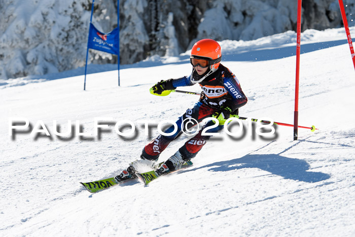 Ziener Cup WF, Finale, Quali + Parallelslalom, 24.03.2018