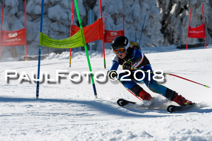 Ziener Cup WF, Finale, Quali + Parallelslalom, 24.03.2018