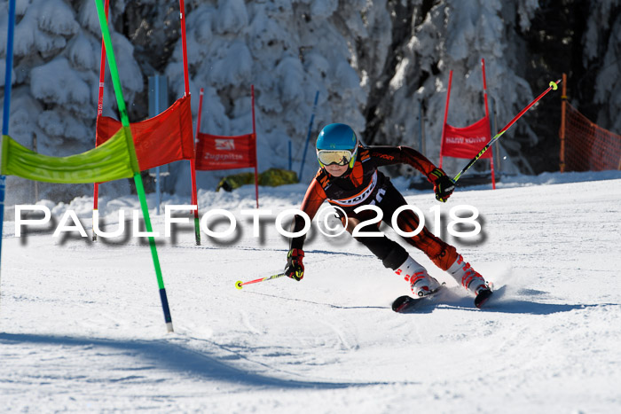Ziener Cup WF, Finale, Quali + Parallelslalom, 24.03.2018