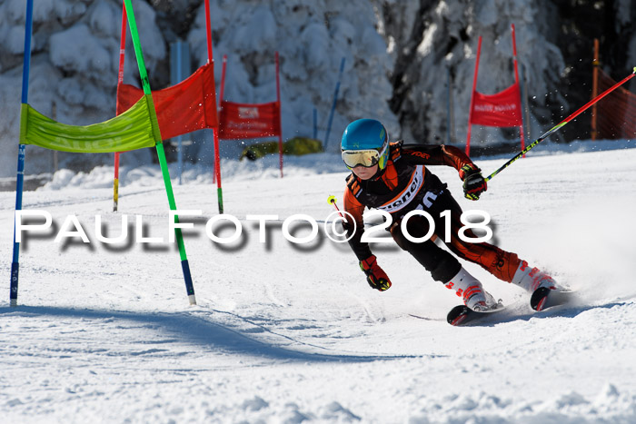 Ziener Cup WF, Finale, Quali + Parallelslalom, 24.03.2018