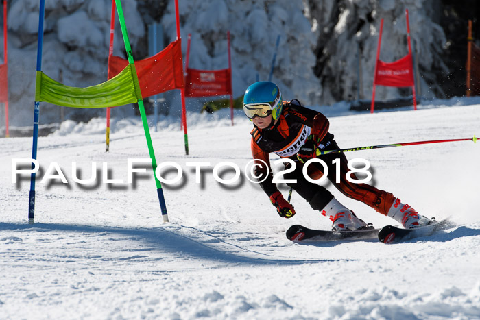 Ziener Cup WF, Finale, Quali + Parallelslalom, 24.03.2018