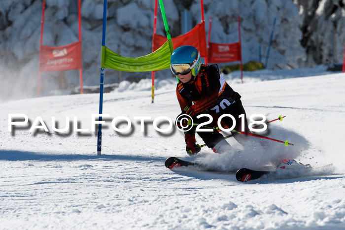 Ziener Cup WF, Finale, Quali + Parallelslalom, 24.03.2018