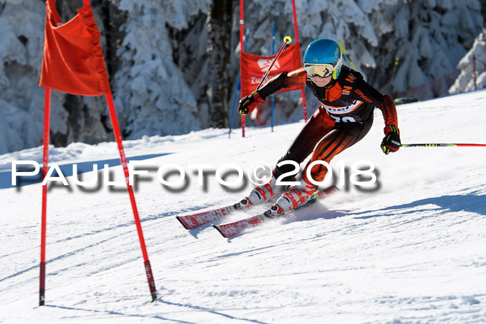 Ziener Cup WF, Finale, Quali + Parallelslalom, 24.03.2018