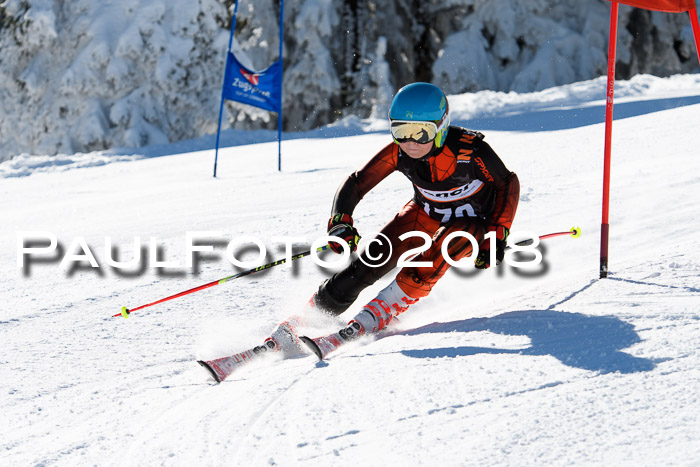 Ziener Cup WF, Finale, Quali + Parallelslalom, 24.03.2018