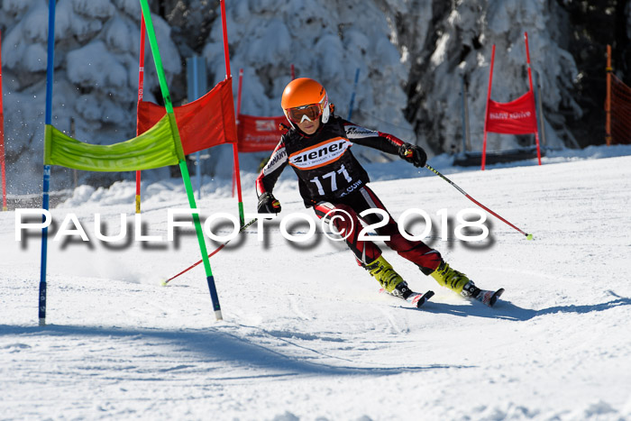 Ziener Cup WF, Finale, Quali + Parallelslalom, 24.03.2018