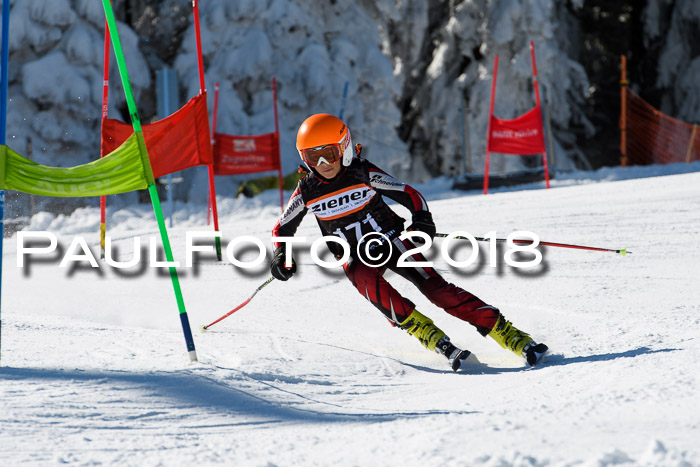 Ziener Cup WF, Finale, Quali + Parallelslalom, 24.03.2018