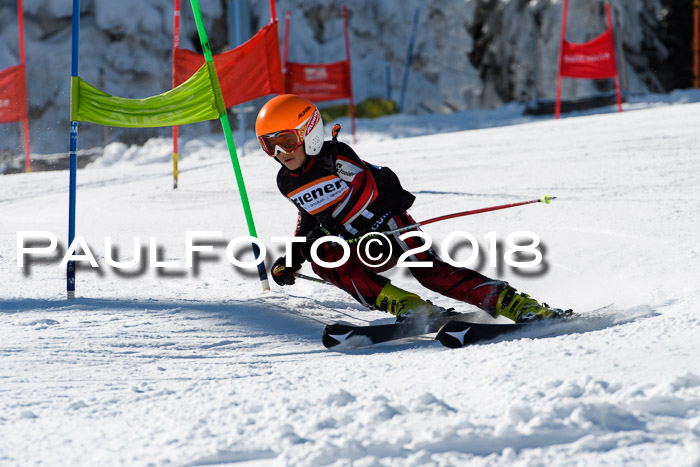 Ziener Cup WF, Finale, Quali + Parallelslalom, 24.03.2018