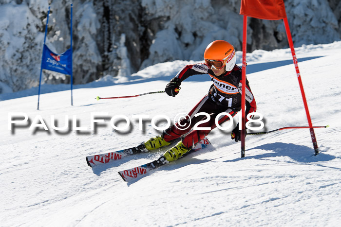 Ziener Cup WF, Finale, Quali + Parallelslalom, 24.03.2018