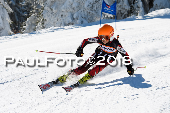 Ziener Cup WF, Finale, Quali + Parallelslalom, 24.03.2018